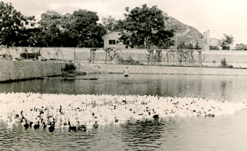 60年：激情與奮進(jìn)的故事