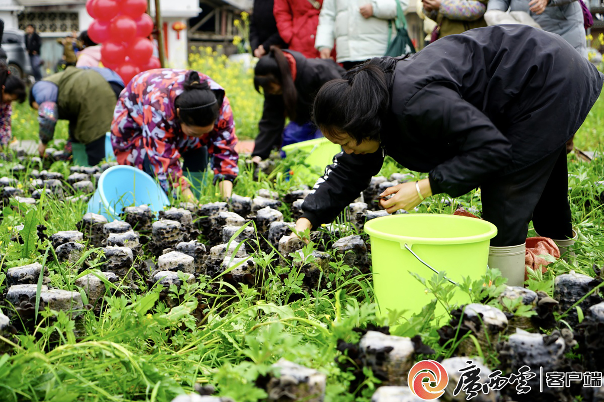 f7bb43c404fb6e7caa851528dd93b2f8_wm76ca